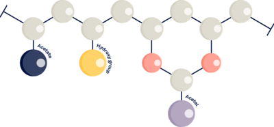 Illustration of the MOWITAL® formula Illustration of the MOWITAL® formula